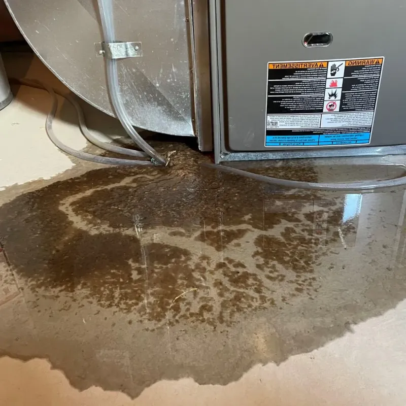 Pipe Burst and Leak Restoration in Hill Air Force Base, UT